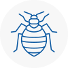 Bed Bug Extermination In Amersham