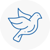 Bird Prevention Amersham