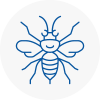 Amersham Hornet Nest Removals