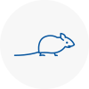 Mice Exterminators In Amersham