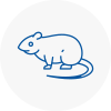 Rat Control Amersham
