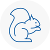 Amersham Rodent Removals